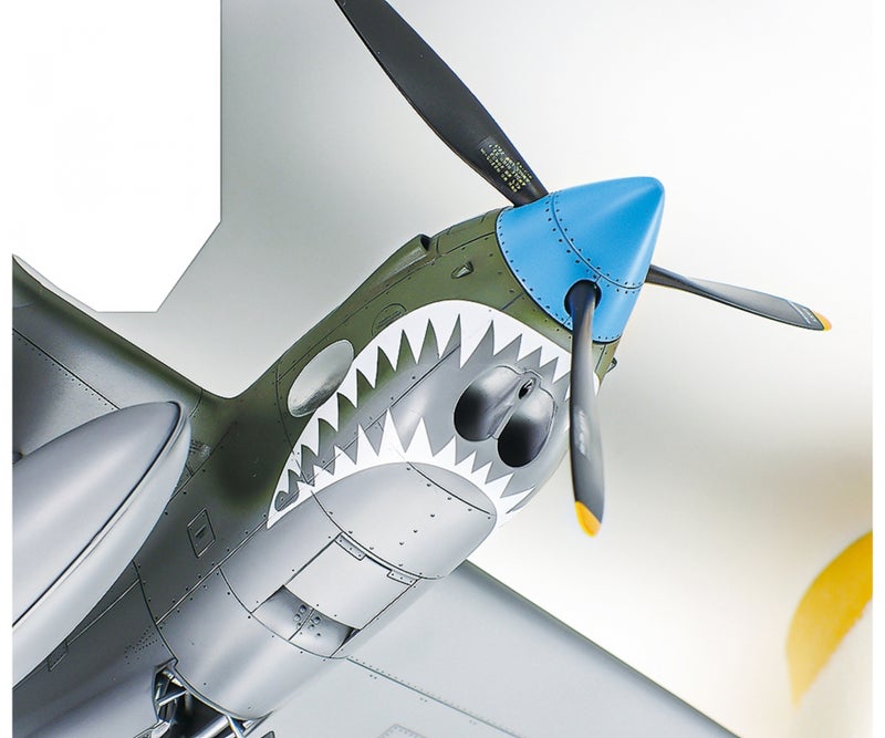 P-38 F:G Lightning (Tamiya 1/48)